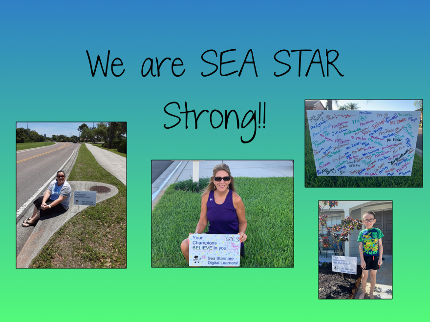 We are SEA STAR Strong!
